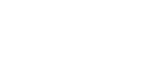 alt:t